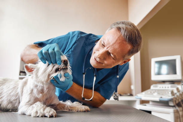 Best Emergency Root Canal Treatment in Norwood, OK