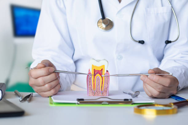 Best Pediatric Emergency Dentist in Norwood, OK